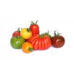 Tomates