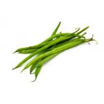 Haricot vert